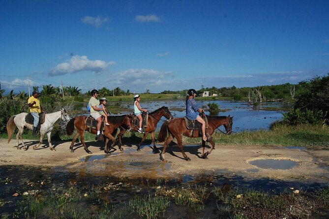 Punta Cana Horseback Riding on the Beach - On the Sand and Along the Surf: The Two-Hour Route
