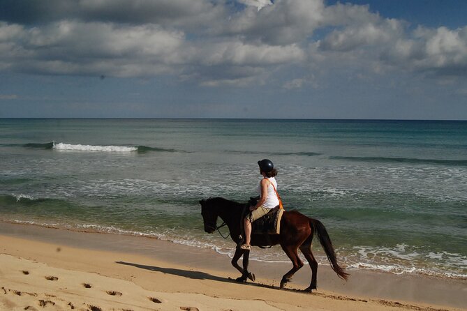 Punta Cana Horseback Riding on the Beach - Break Time Details: The Coconut Stop and How It Changes the Pace