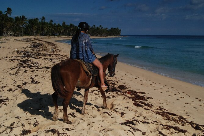 Punta Cana Horseback Riding on the Beach - Price and Value: Is $75 a Smart Use of a Punta Cana Morning?