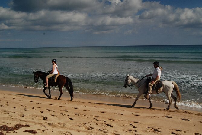 Punta Cana Horseback Riding on the Beach - Who This Tour Fits Best (And Who Should Rethink It)