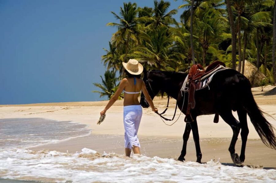 Punta Cana: Horseback Riding through Stunning Beaches - The 3-Hour Flow: From Tropical Roads to Uvero Alto Beach