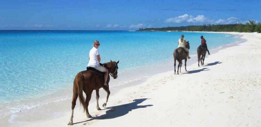 Punta Cana: Horseback Riding through Stunning Beaches - Your Guide and Your Horse: Why This Ride Feels Personal