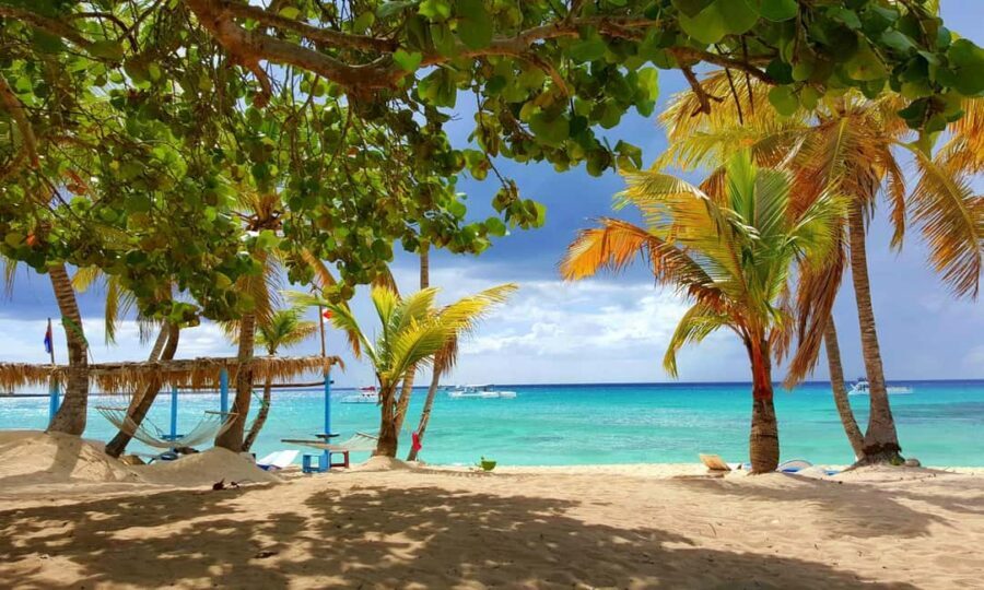 Punta Cana: Isla Catalina Snorkeling Tour with Lunch - Getting from your hotel to the marina (and why you should leave room for time)