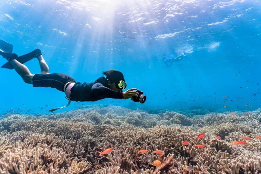 Punta Cana: Island escape to catalina • snorkeling & lunch - Key highlights at a glance