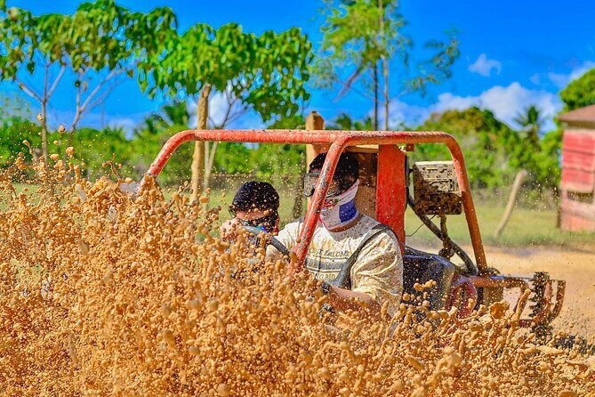 Punta Cana Jungle Buggy Tour: Macao Beach Visit and Cenote Swim - Dominican House Tastings: The Value That Doesn’t Feel Rushed
