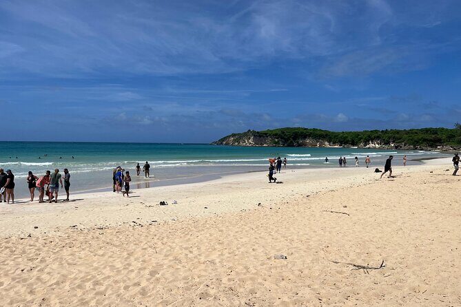 Punta Cana Jungle Buggy Tour: Macao Beach Visit and Cenote Swim - Macao Beach Time: Muddy Day, Salt-Air Reset