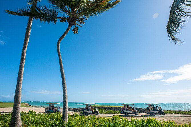 Punta Cana Lagoon Tour with Lunch, Boat Cruise, Open Bar - Snorkeling vs. the Natural Pool: Where This Tour Wins and Where Expectations Need a Reset
