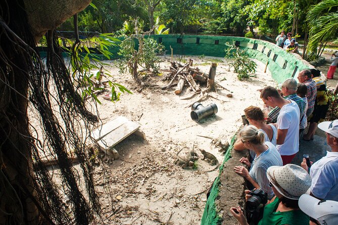 Punta Cana Lagoon Tour with Lunch, Boat Cruise, Open Bar - Group Size and Pace: Organized Fun, Not a Party Free-For-All
