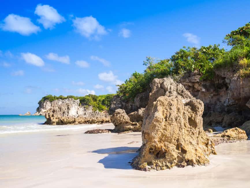 Punta Cana: Macao Beach Buggy Tour - Macao Beach: ocean views, quick shopping time, and a real end point