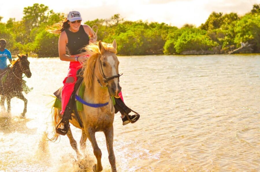 Punta Cana: Macao Beach & Forest Horseback Riding Tour - Price and value: what $55 buys you in Punta Cana time