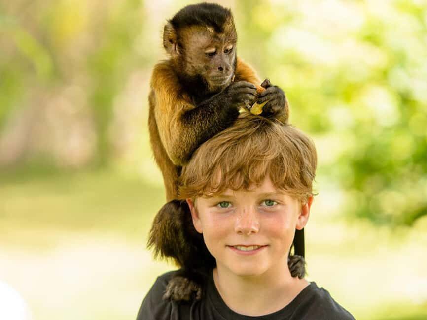 Punta Cana: Monkey Adventure by Jhoraji With Hotel Pick-Up - How the Interaction Really Works: Small Groups, Games, and Close Contact