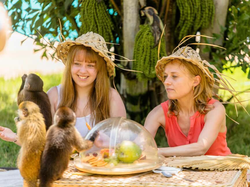 Punta Cana: Monkey Adventure by Jhoraji With Hotel Pick-Up - Hotel Pick-Up and Getting There Smoothly