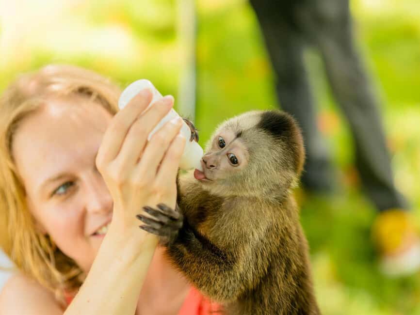 Punta Cana: Monkey Adventure by Jhoraji With Hotel Pick-Up - Price and Value: When $95 Makes Sense (and When It Doesn’t)