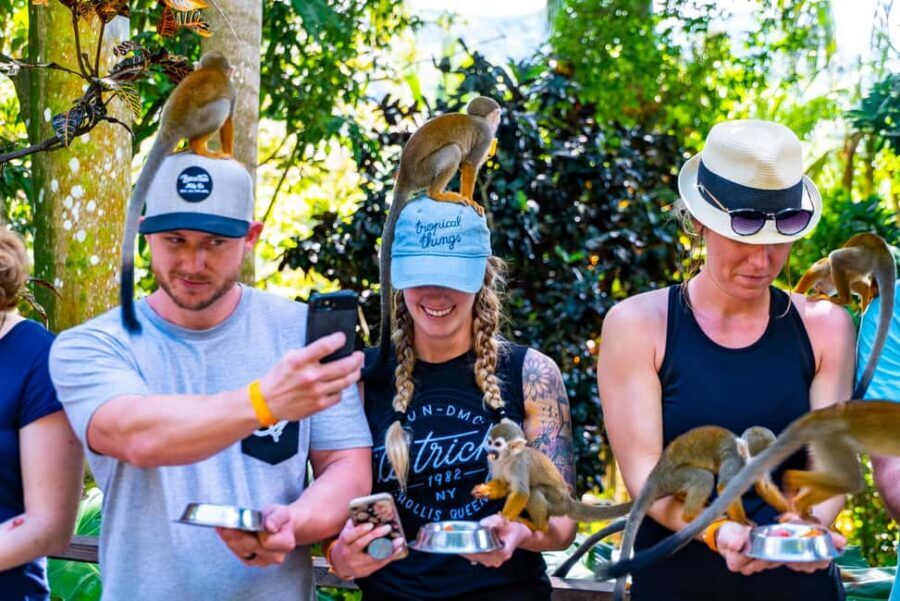 Punta Cana: Monkey Land Half-Day Safari and Plantation - Should You Book Punta Cana: Monkey Land Half-Day Safari and Plantation?