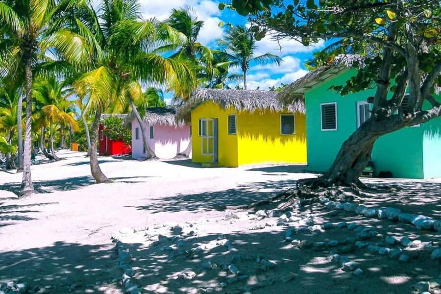 Punta Cana or La Romana: Catalina Island Tour and Snorkeling - Catamaran ride + Catalina snorkeling: what the day feels like on the water