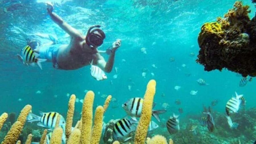 Punta Cana: Party Boat and Snorkeling Adventure - Snorkeling for 30 Minutes: Coral Reefs and Gear Included