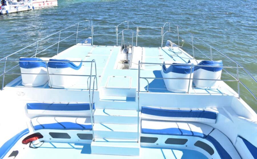 Punta Cana: Party Catamaran with Snorkeling & Private Beach - Dolphins: A Bonus, Not a Plan