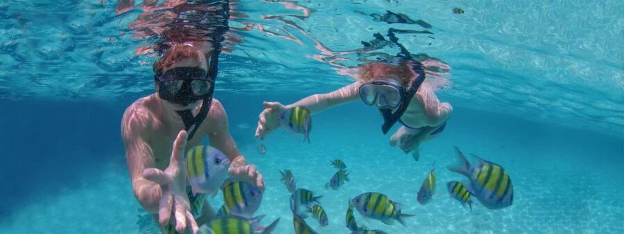 Punta Cana Private Catamaran (Small Group) - Sailing Along Punta Cana: Music, Views, and a Calm Pace