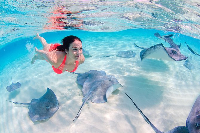 Punta Cana Private Virgen Beach Small & Big Group Snorkel Cruise - Punta de los Nidos time on white sand—and how it may shift to the natural pool