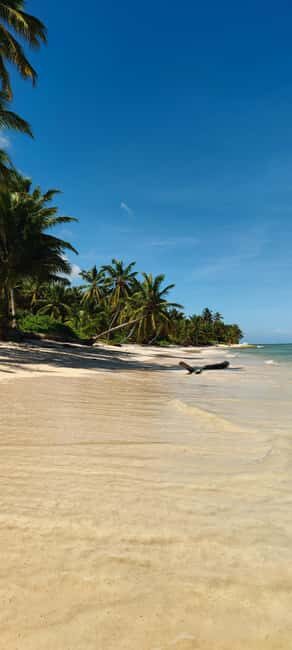 Punta Cana : Private yacht Snorkeling, Lagoon and Wild Beach - From Jellyfish Beach out to the Punta Cana coastline