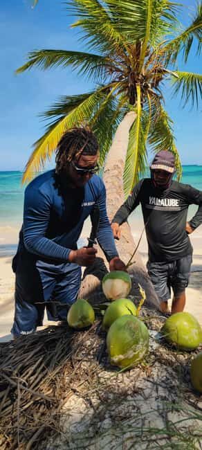 Punta Cana : Private yacht Snorkeling, Lagoon and Wild Beach - Cruising time, scenic views, and dolphin-watching time on the route