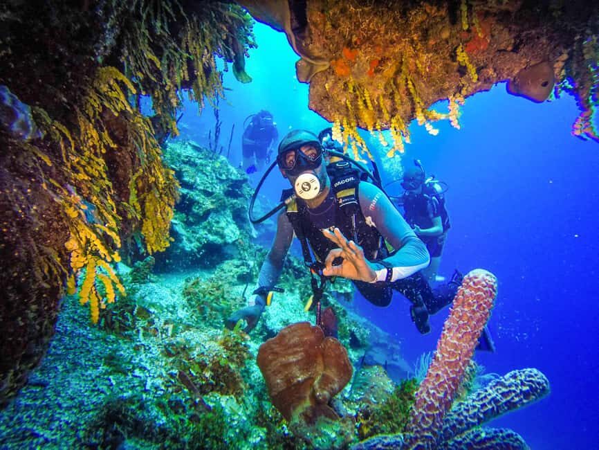 Punta Cana: Reef Diving Adventure Explore Underwater Wonders - Key things to know before you go