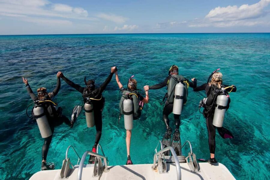 Punta Cana: Reef Diving Adventure Explore Underwater Wonders - Coral Reefs, Colorful Fish, and Sea Turtles