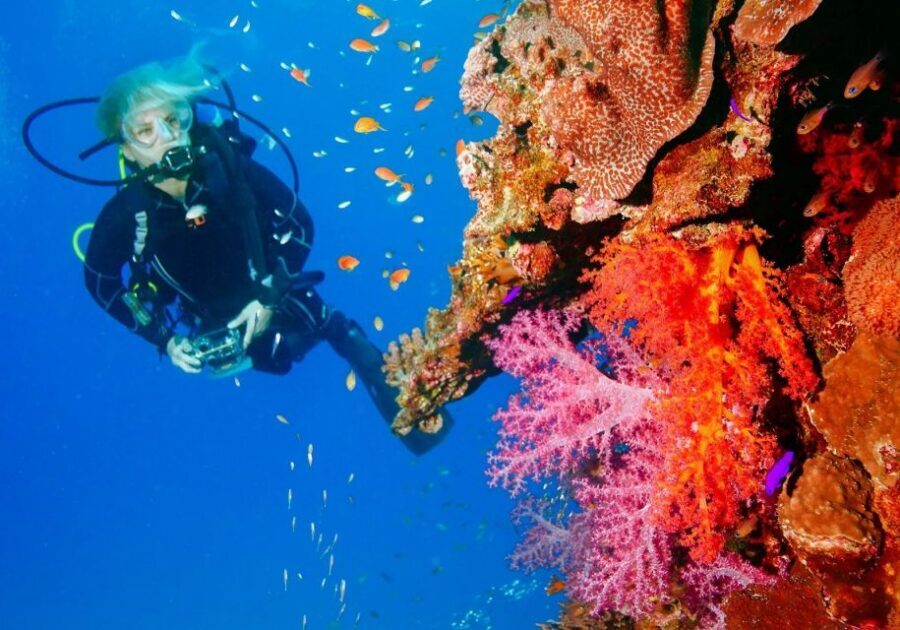 Punta Cana: Reef Diving Adventure Explore Underwater Wonders - Who Should Book This Punta Cana Reef SCUBA Adventure