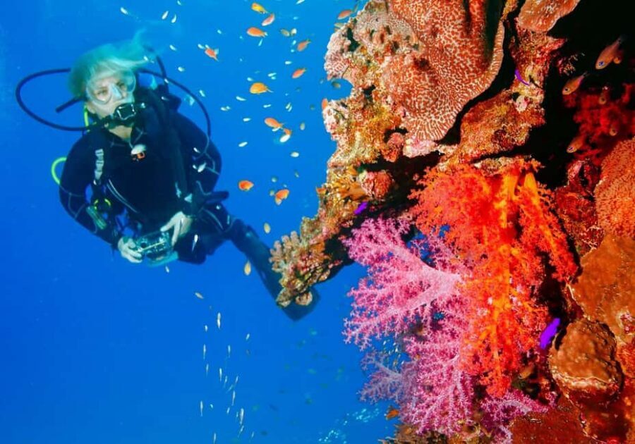 Punta Cana: Reef Diving Adventure Explore Underwater Wonders - Your 5-Hour Plan: Pickup, Gear, and Instructor-Led Water Time