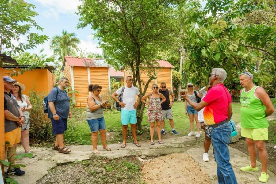 Punta Cana safari experience and historical city tour - Plantations, Sugar Cane, and How the Work Fits the Culture