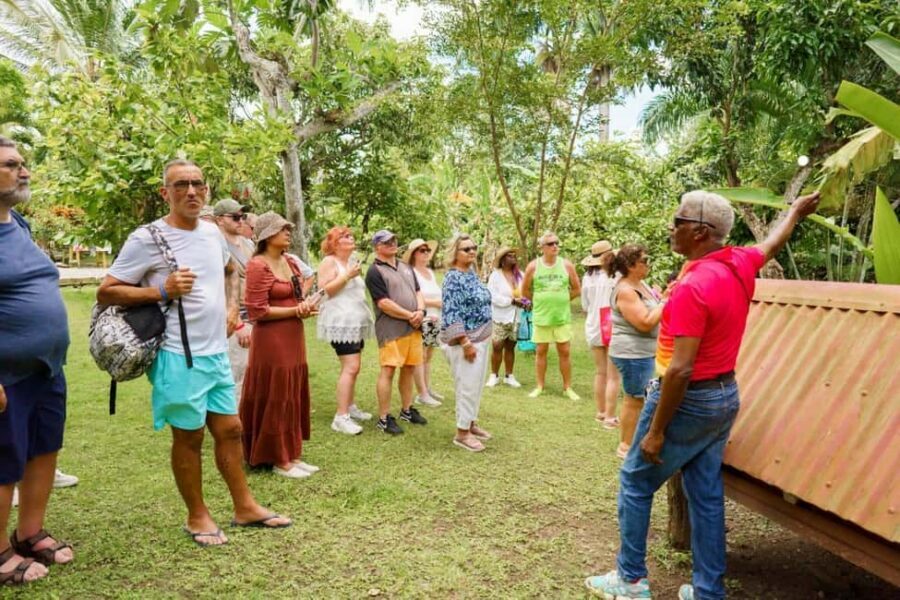 Punta Cana safari experience and historical city tour - Macao Beach and the “Secret Stop” for Photos and Variety