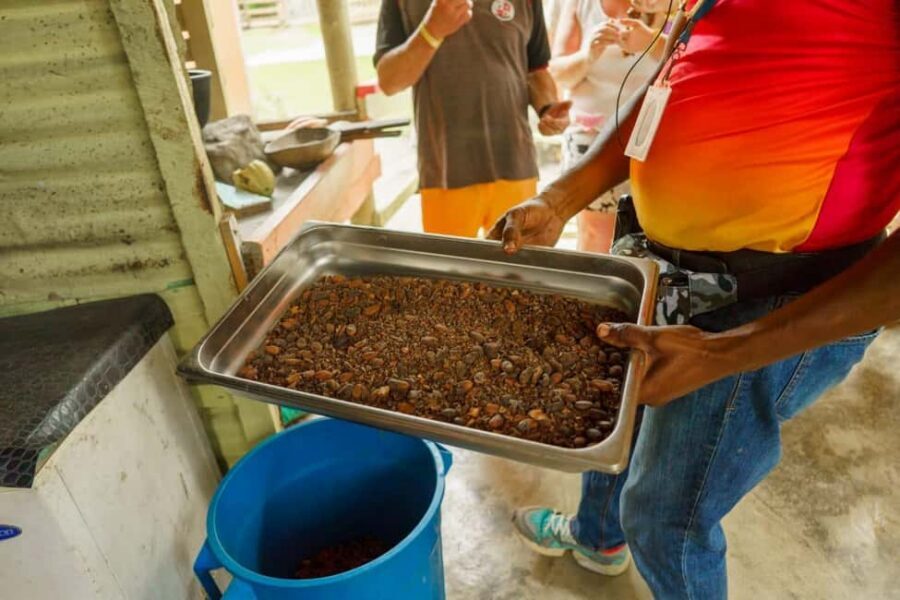 Punta Cana safari experience and historical city tour - Pickup, Timing, and How the Half-Day Flows