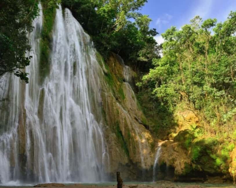 Punta Cana: Samana Bay Full-Day Experience - Key Things You’ll Notice on This Samaná Day Trip