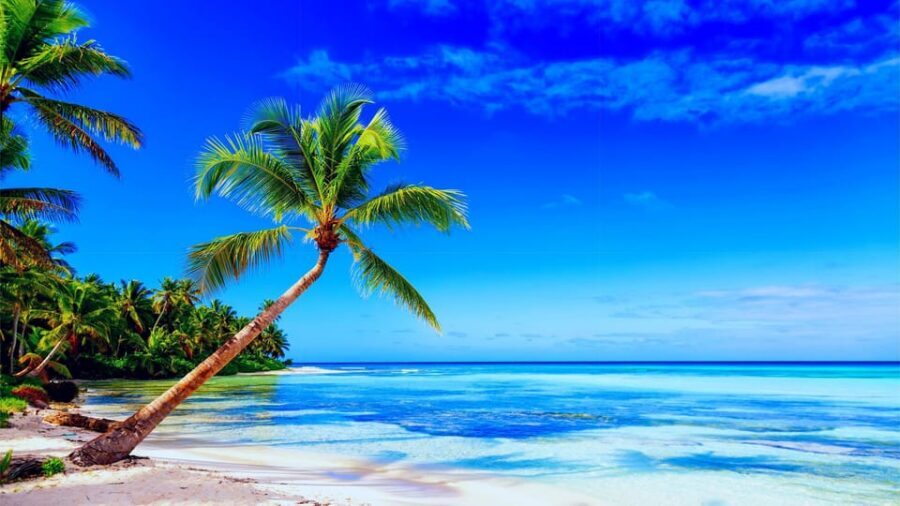 Punta Cana: Samaná Day Tour with Horse Ride and Cruise - Who This Samaná Day Trip Fits Best