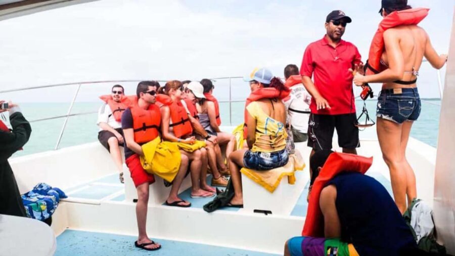 Punta Cana: Samana Full Day Trip Whale Cascada El Limon - Key highlights to know before you go
