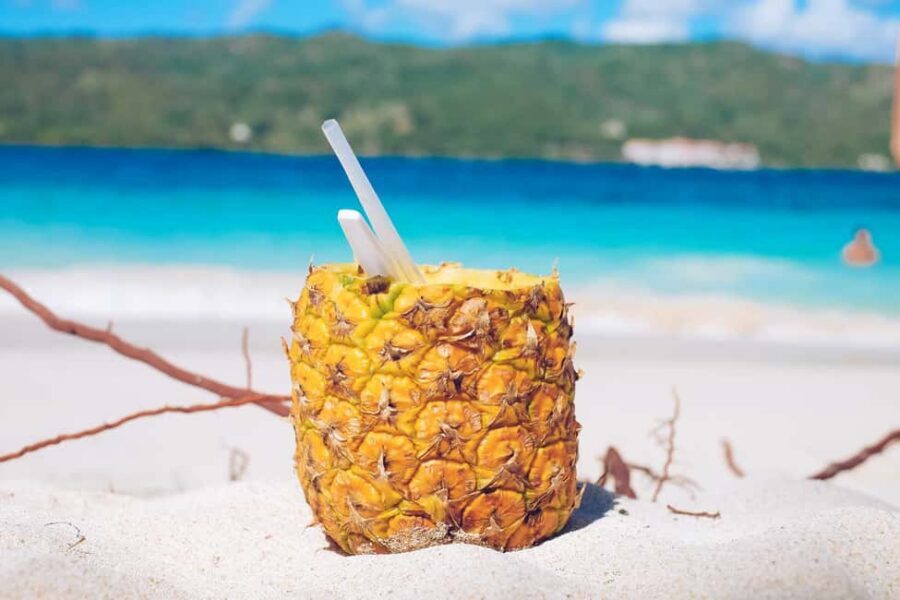 Punta Cana: Samana Full Day Trip Whale Cascada El Limon - Cayo Levantado: island time between the bigger hits