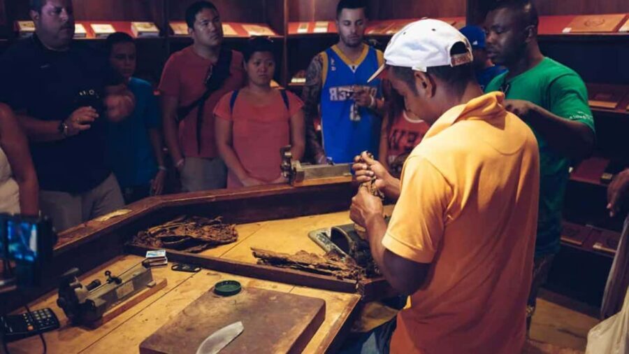 Punta Cana: Samana Full Day Trip Whale Cascada El Limon - Open bar, coffee, and meals: what’s really included for $120