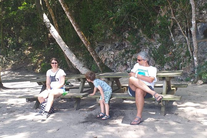 Punta Cana: Samaná, Lemon Falls and Bacardi Island - Morning Pickup and the 6:30 AM start: the day’s real rhythm