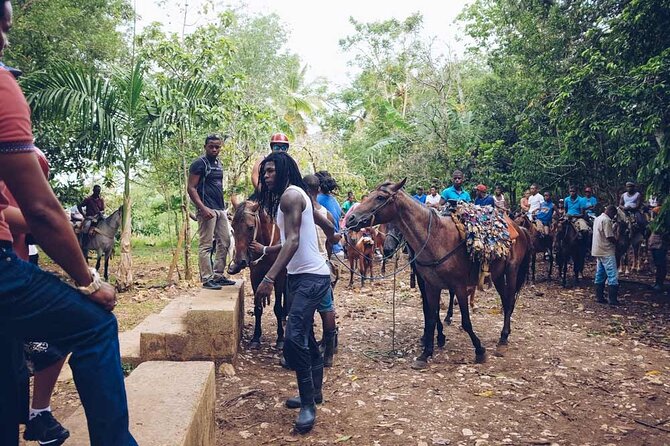 Punta Cana: Samaná, Lemon Falls and Bacardi Island - Lemon Falls: why it’s worth the wait, and how to stay comfortable