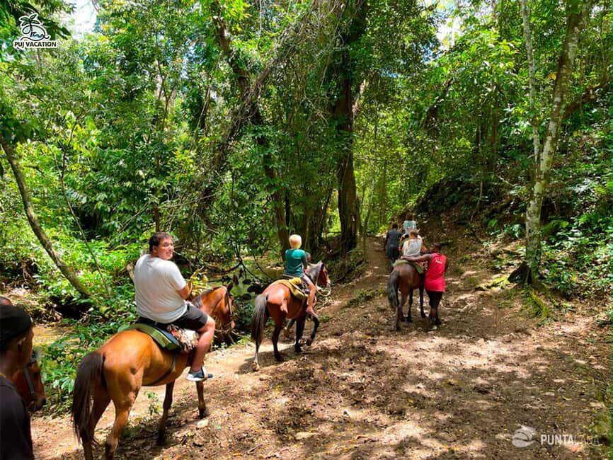 Punta Cana: Samana safari between waterfalls and beaches - Punta Cana to Samaná: Why This Safari-Style Day Works