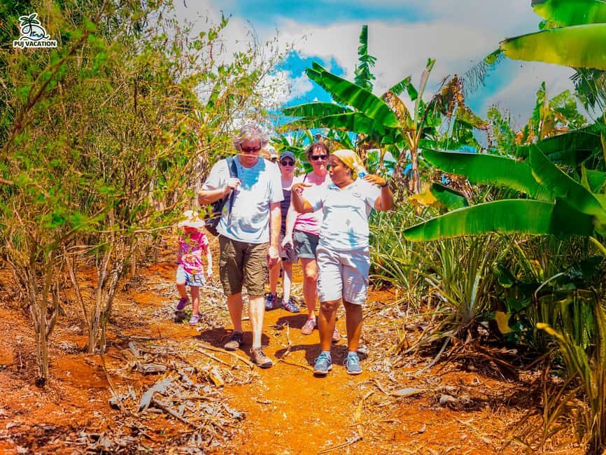 Punta Cana: Samana safari between waterfalls and beaches - The Morning Run: Pickup, Miches, and the Port of Cañita