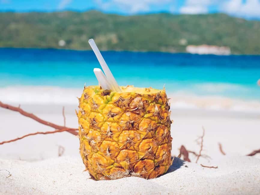 Punta Cana: Samaná Whale Watching and El Limón Day Tour - Price and value: is $168 per person fair for this mix?