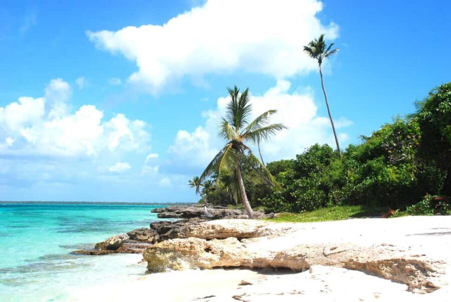 Punta Cana: Saona Crusoe VIP - Natural pools and snorkeling around big cushion starfish
