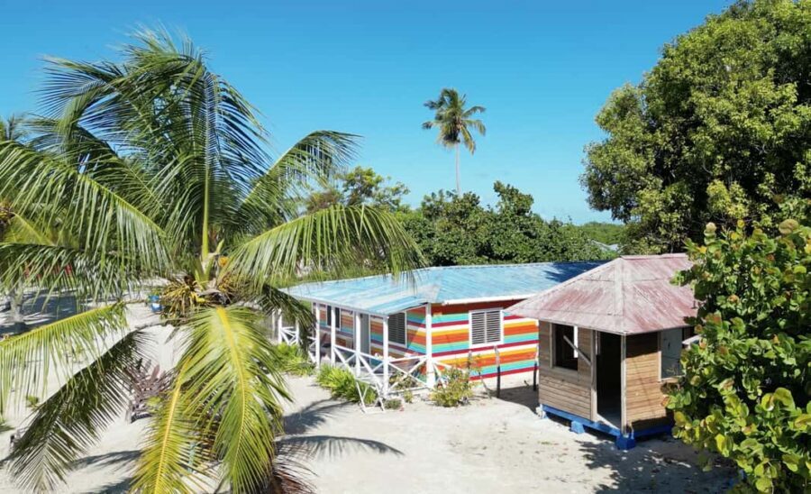 Punta Cana: Saona Crusoe VIP - Mano Juan village and the sea turtle project: conservation you can see up close