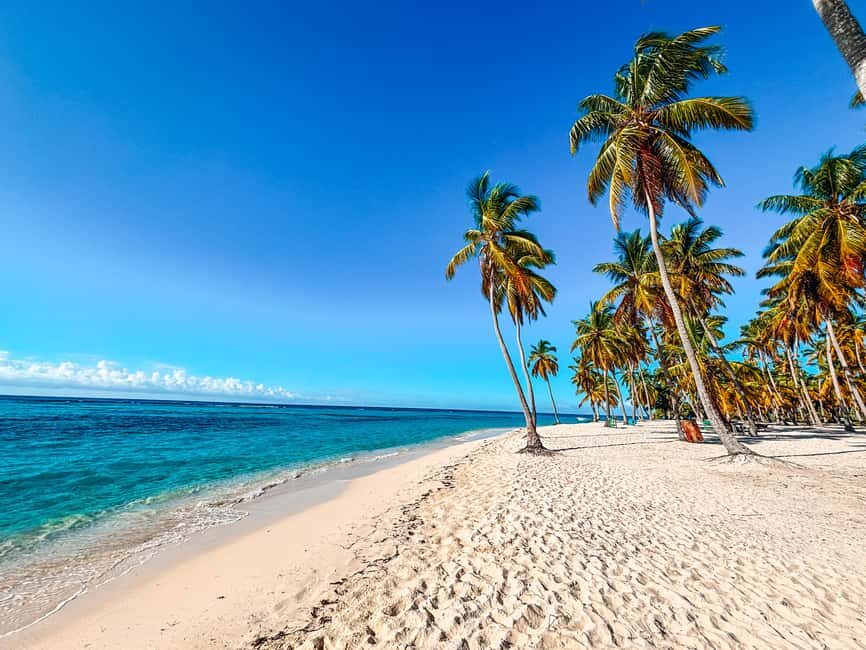 Punta Cana: Saona Crusoe VIP - VIP small-group style: guides, pace, and what you’re really paying for