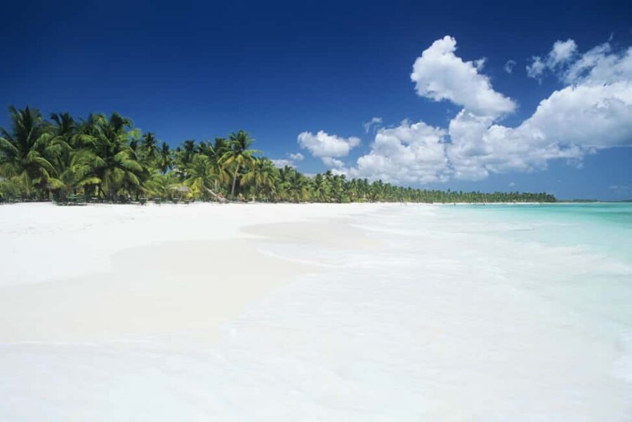 Punta Cana: Saona Island Catamaran Adventure with Lunch - Quick hits before you go