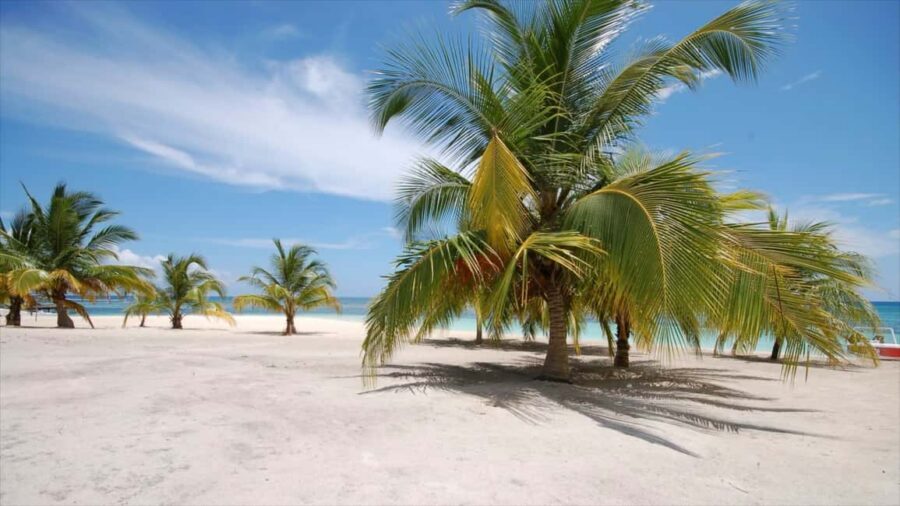 Punta Cana: Saona Island Catamaran Adventure with Lunch - Saona Island beach break: where the water turns into your schedule