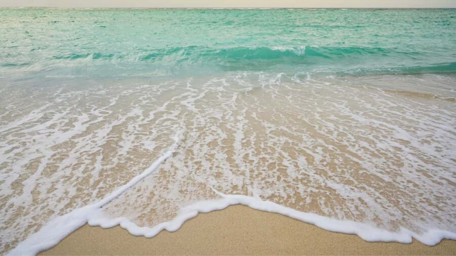 Punta Cana: Saona Island Catamaran Food Drink With Transport - Natural Pool Stop: Why That 30 Minutes Matters