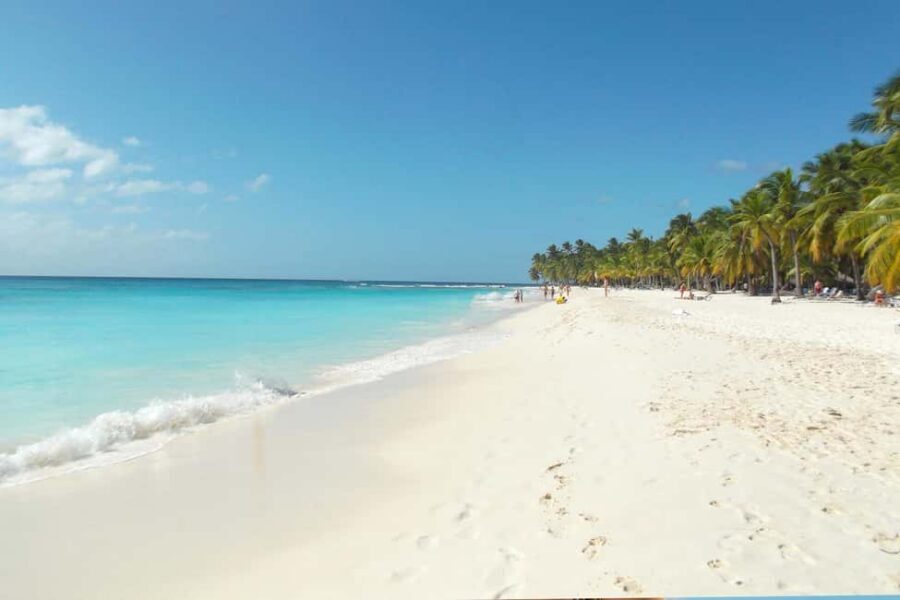 Punta Cana: Saona Island Catamaran Tour & Buffet Lunch - Punta Cana to Saona Island: What This Day Trip Really Delivers