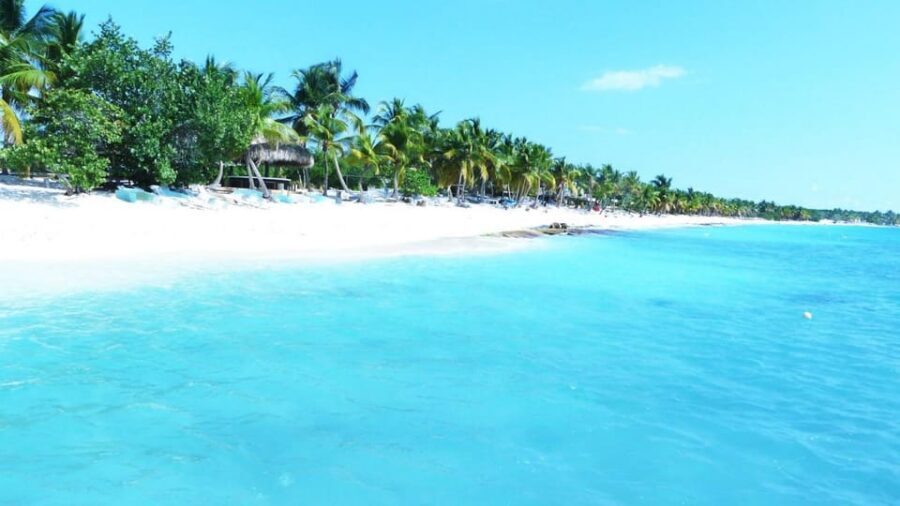 Punta Cana: Saona Island Catamaran Tour & Buffet Lunch - La Romana Province Time: Guided Briefing and Sightseeing Setup